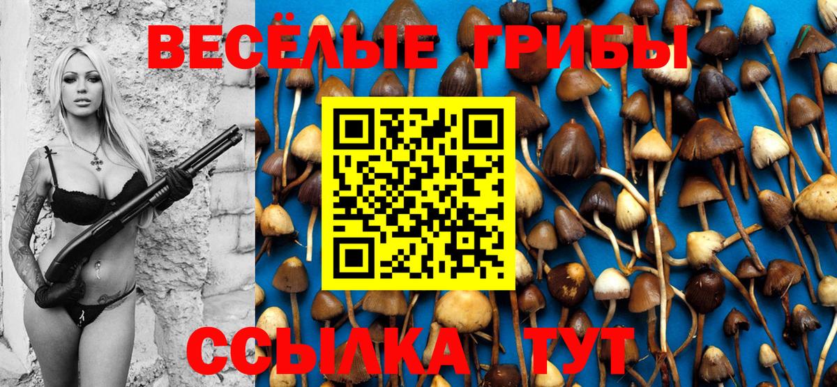 Галлюциногенные грибы ЛСД Краснодар