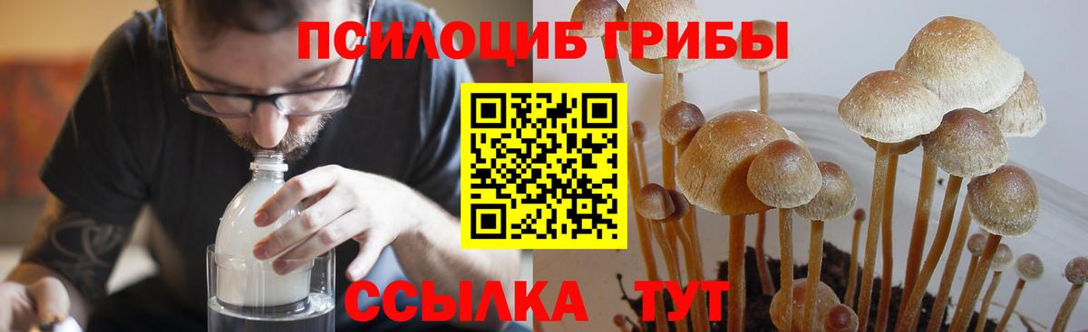 Галлюциногенные грибы MAGIC MUSHROOMS  Вход с VPN  Псилоцибиновые грибы Magic Shrooms  Краснодар 